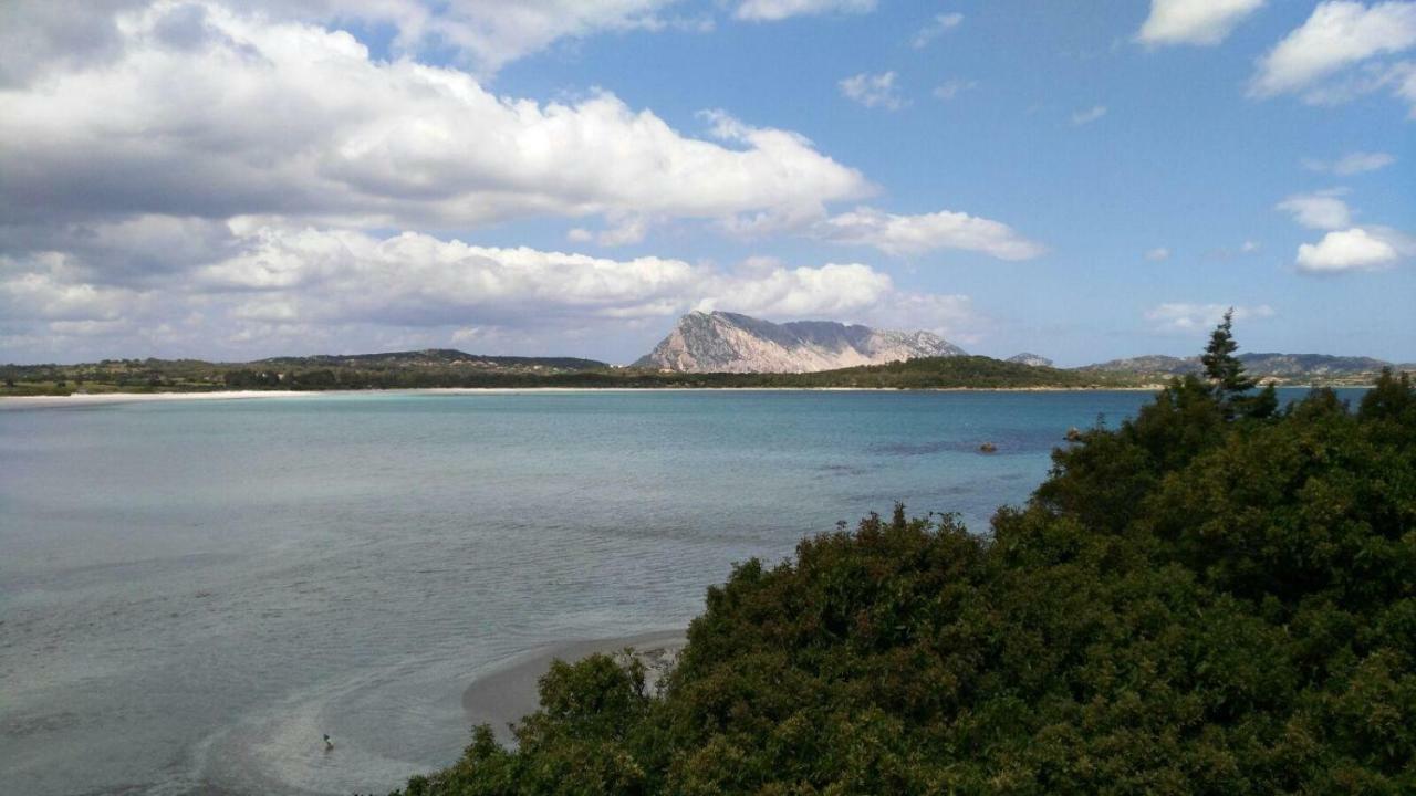 Sole&Sale Panzió San Teodoro  Kültér fotó